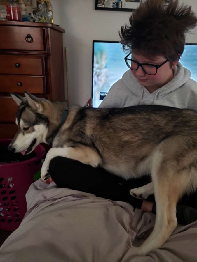 Mary Luaritzen is Preparing Her Dog to be a Therapy Dog