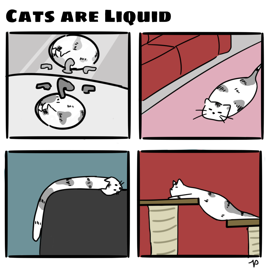 Cats Are Liquid [Comic] – FHNtoday.com
