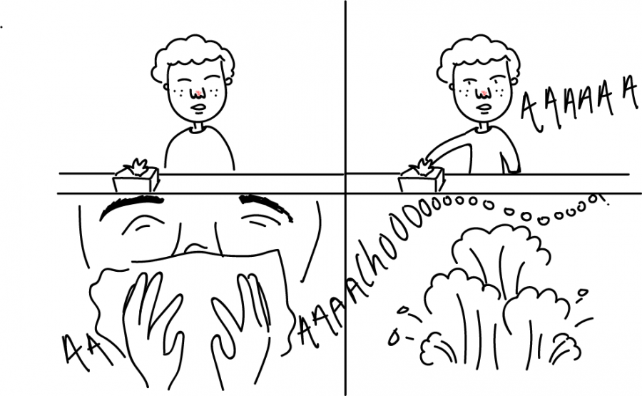 Sneeze [Comic]