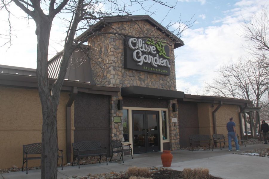 Olive garden is a nice Italian restaurant that won't break the bank with a great atmosphere and great meals. It's a great option to go to on your Valentine's Day date.