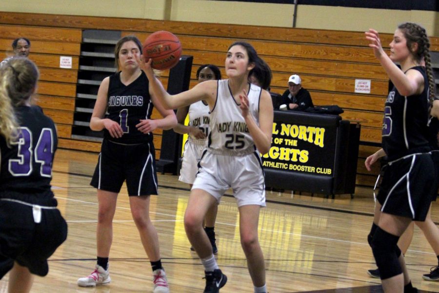 JV Girls Basketball Lose to Zumwalt West [Photo Gallery]