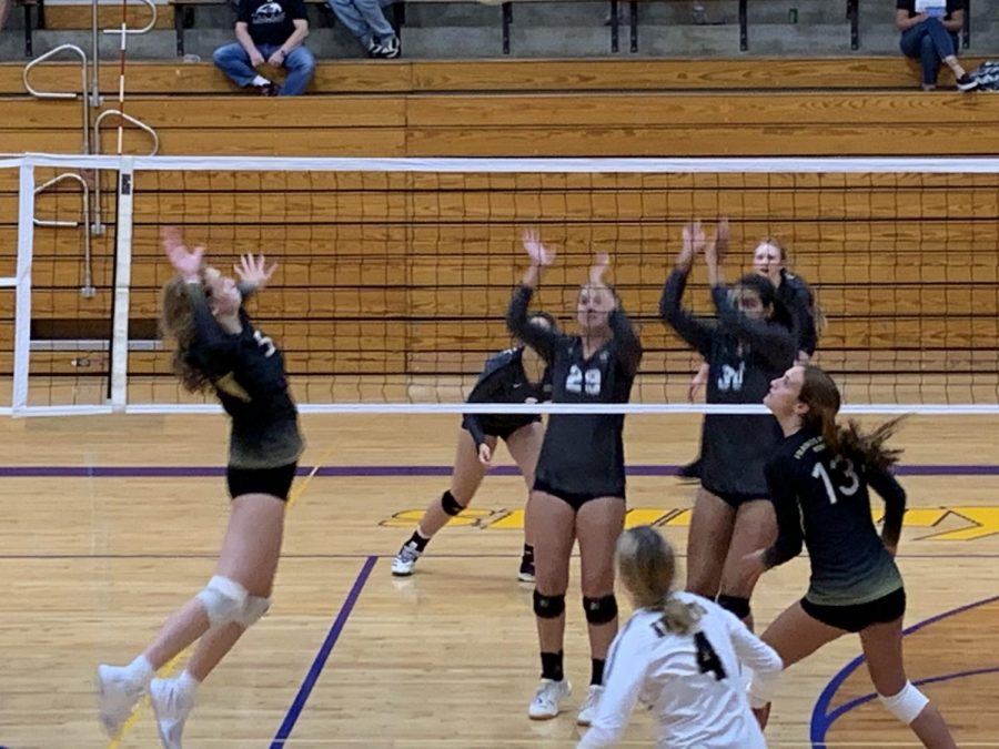 Sophomore Brianna Wortman hits the volleyball during a game.