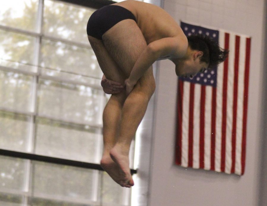 On Sept. 29, Logan Shelfaut dives at a meet at the Rec Plex vs. Fort Zumwalt South.