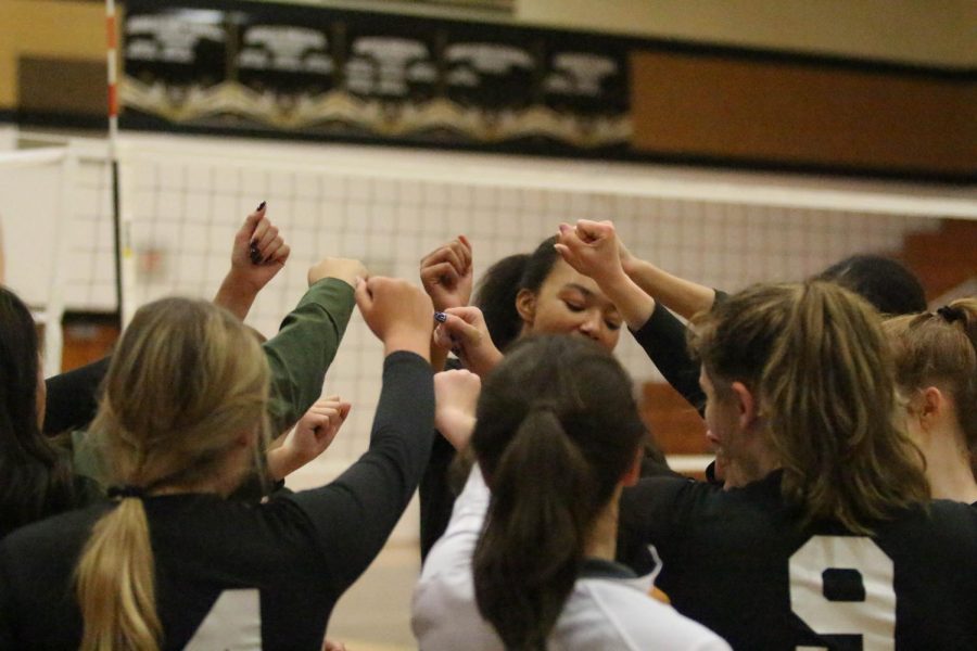 Girls JV Volleyball Loses to Troy Buchanan High School [Photo Gallery]