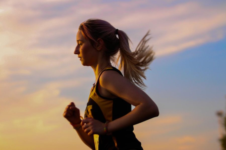 Cross Country Competes in Meet at Koche Park [Photo Gallery]