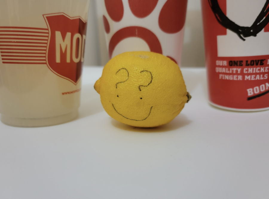 A lemon is shown in front of a few of the contestant cups that were tested to be considered for the best lemonade in St. Charles. 