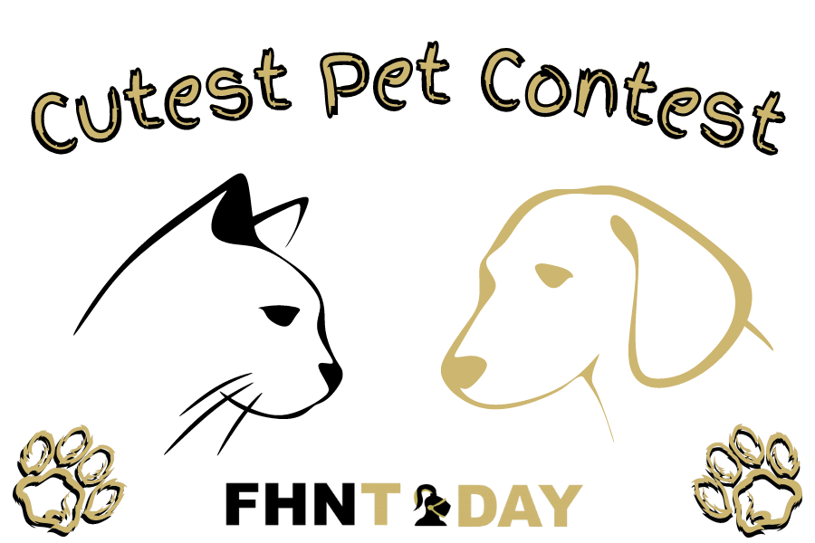 The Cutest Pet Contest's Top 5 Winners