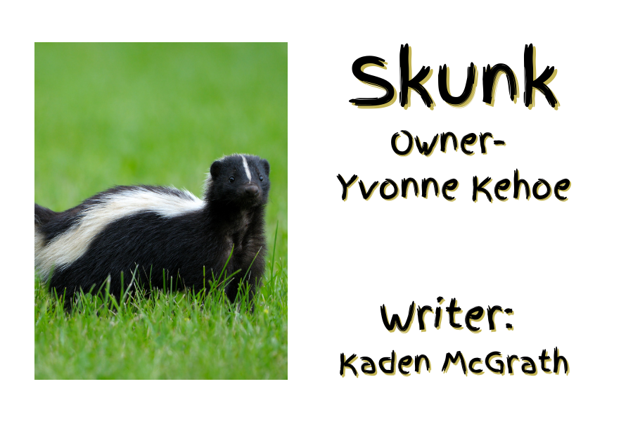 Skunk