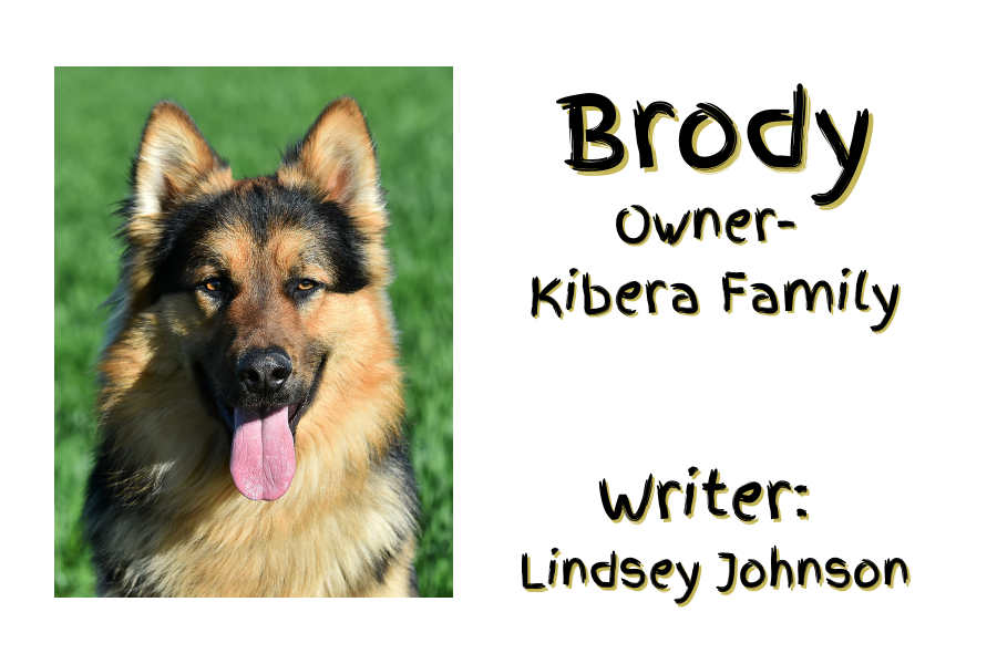 Brody