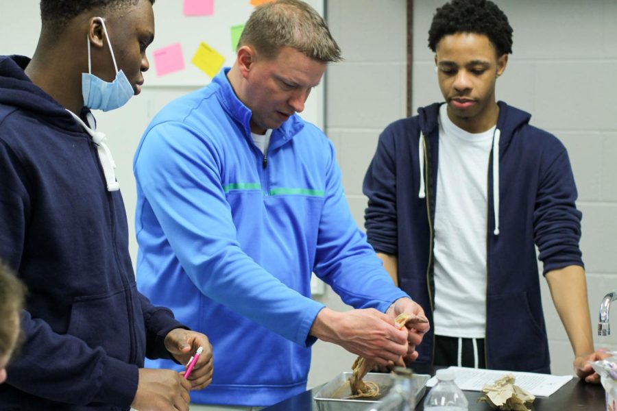 Biology 2 Dissects Squids In Class [Photo Gallery]