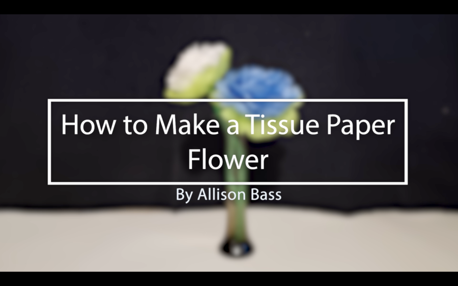 How to Make a Tissue Paper Flower