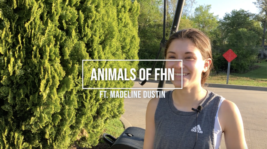 Stewart Dustin | Animals of FHN