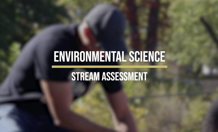 Environmental Sciences' Annual Stream Assessment