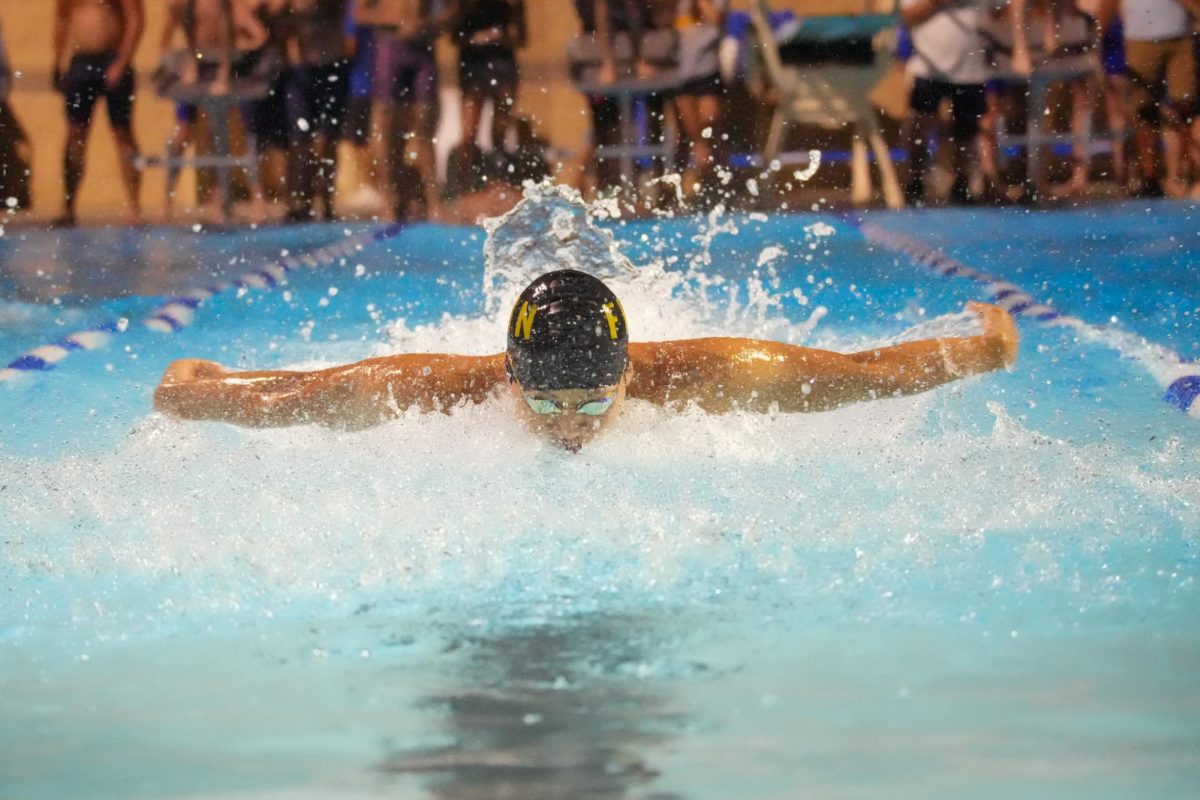 Boys Swim Team Goes Against the Howells at Blanchette Park [Photo Gallery]