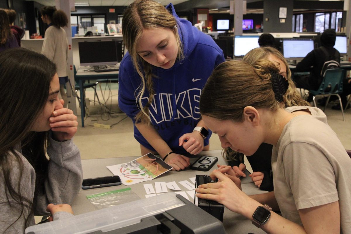 Honors Biology Class Does an Activity on Photosynthesis [Photo Gallery]