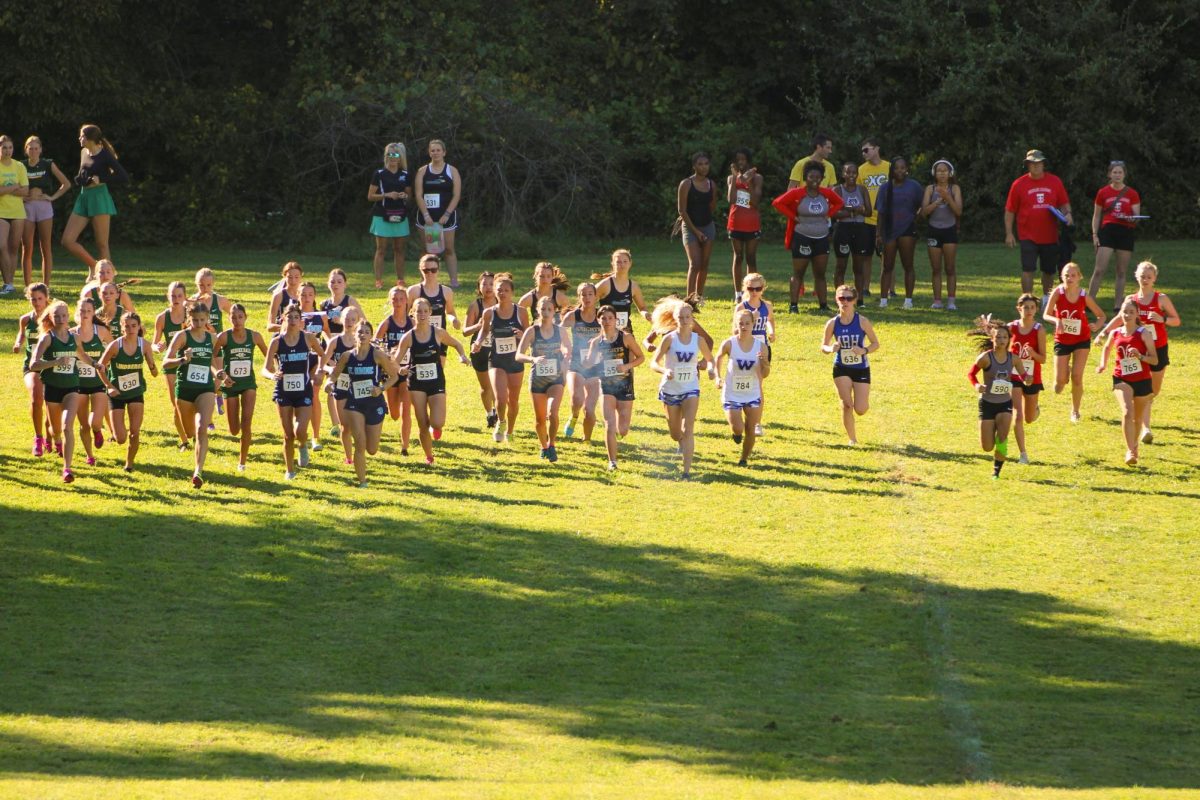 Cross Country Strides Into New Season