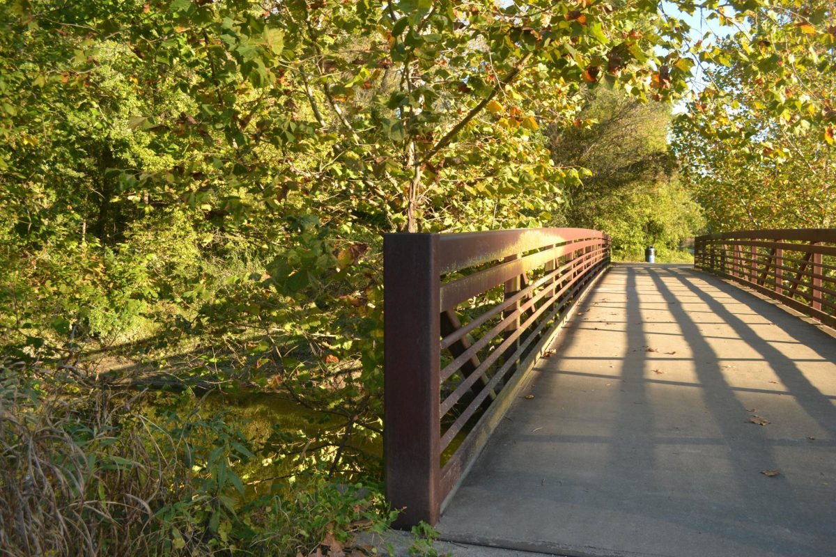 Exploring the Beauty of Missouri Nature Through Hiking Trails in Autumn