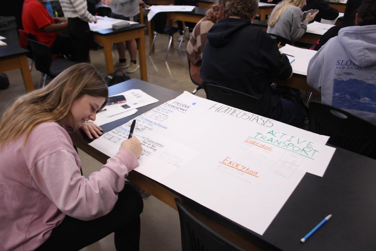 Biology Classes Make Cell Transport Posters [Photo Gallery]