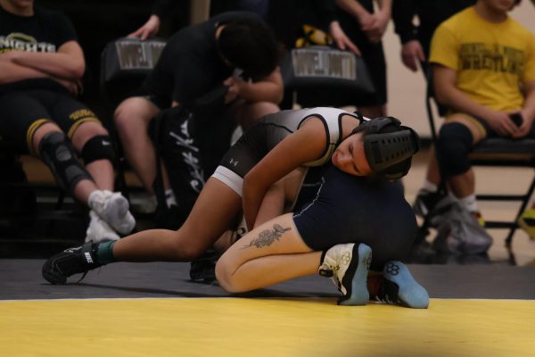 Varsity Girls Wrestling Is Defeated By FHC [Photo Gallery]