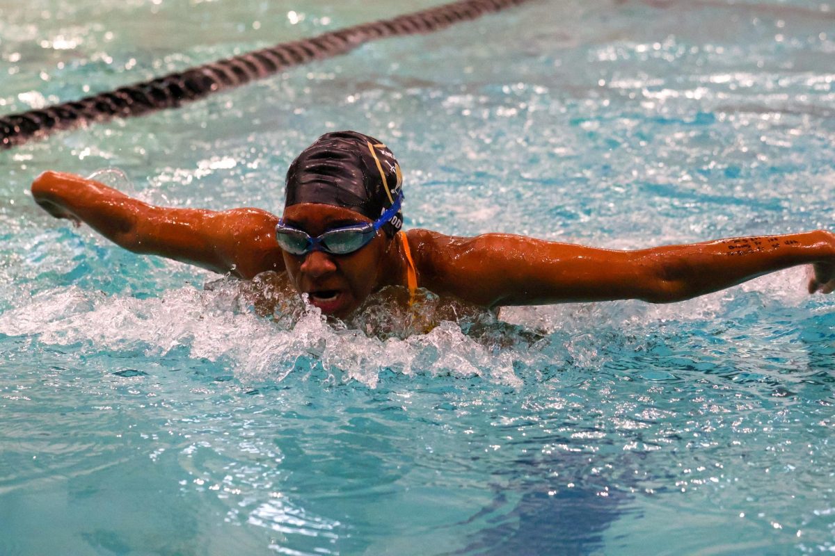 FHN Girls Swim Competes in Tri-Meet [Photo Gallery]