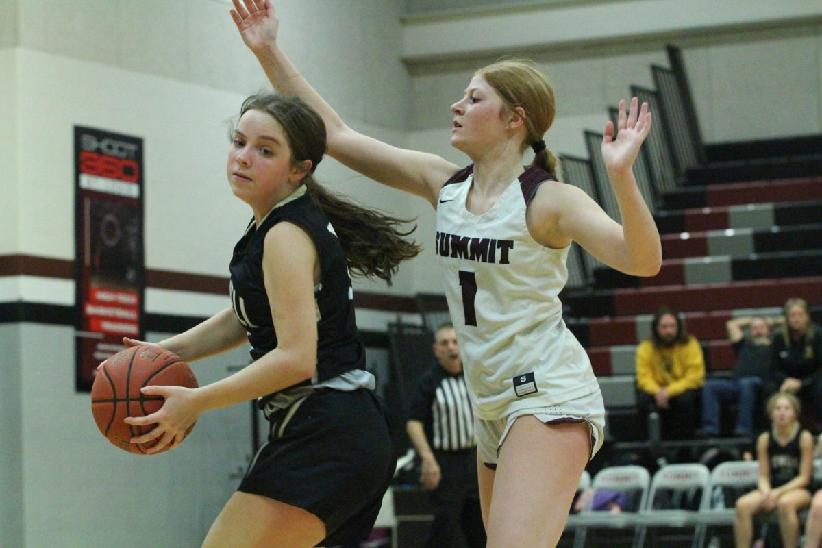 JV Girls Basketball Defeats Rockwood Summit In Pickup Game [Photo Gallery]