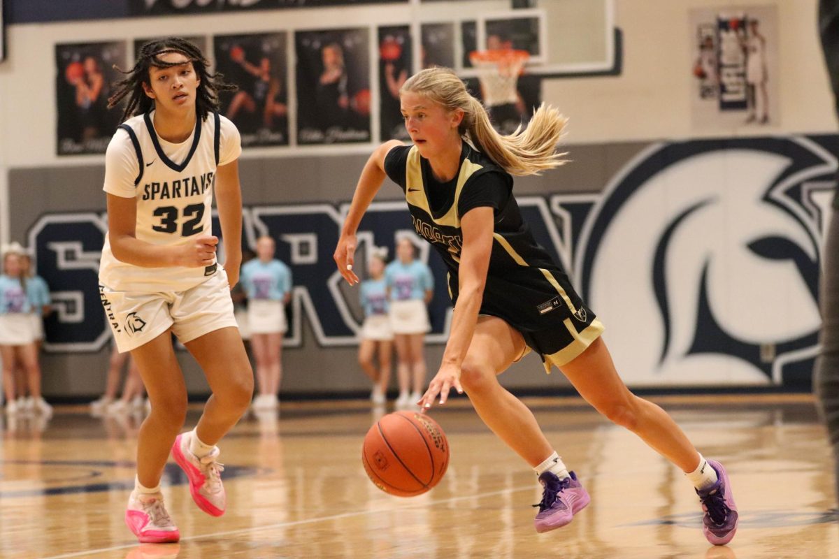 Varsity Girls Basketball Takes on Francis Howell Central [Photo Gallery]