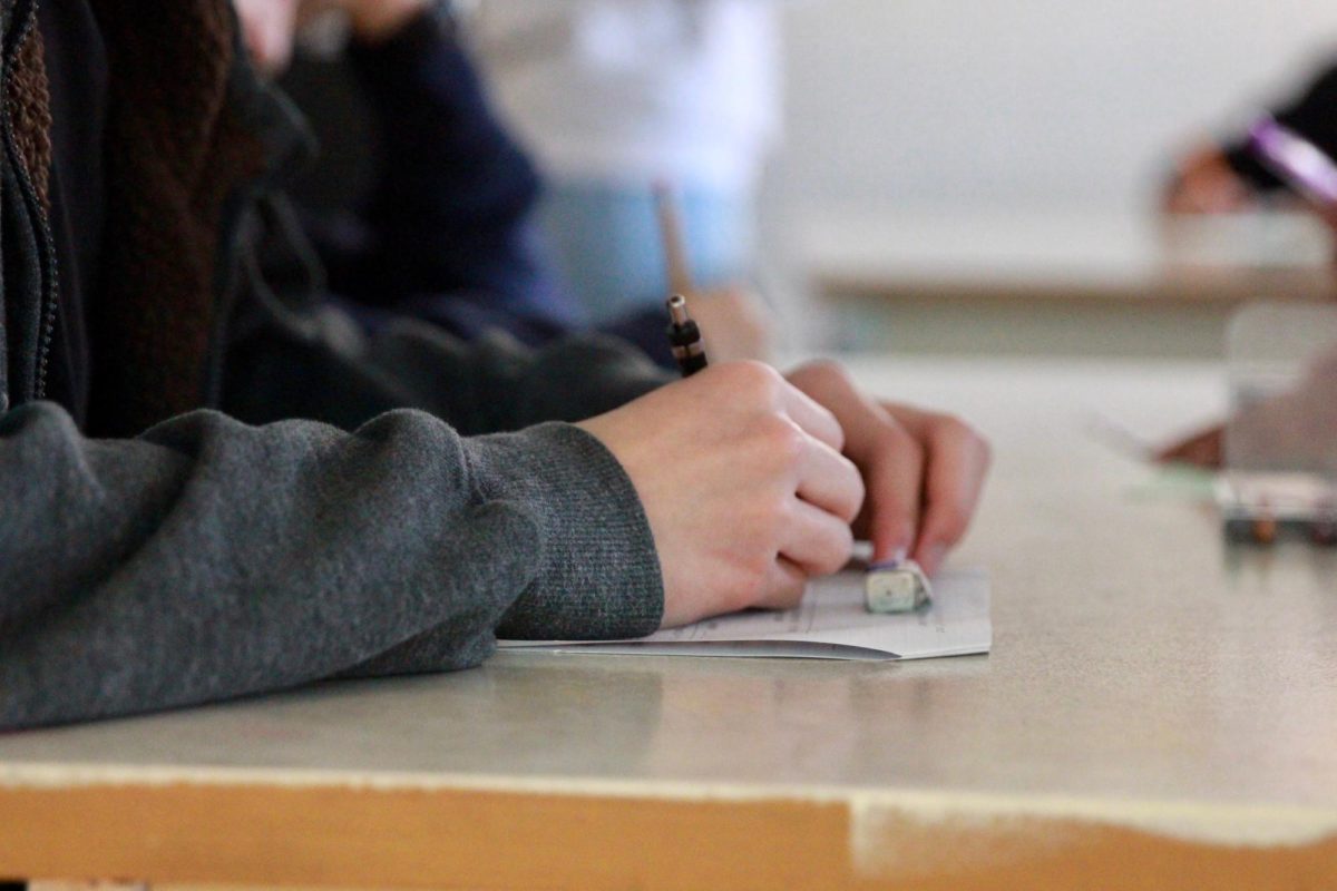 Discover Three Classes that are Hidden Seashells in the Course Enrollment Guide