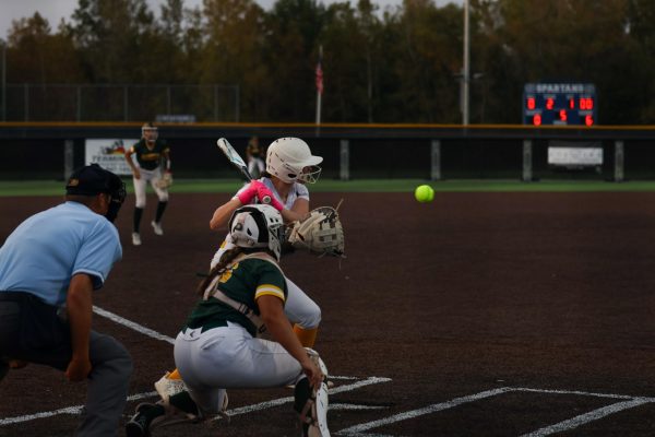 Varsity Softball Play District Game Against Zumwalt West [Photo Gallery]