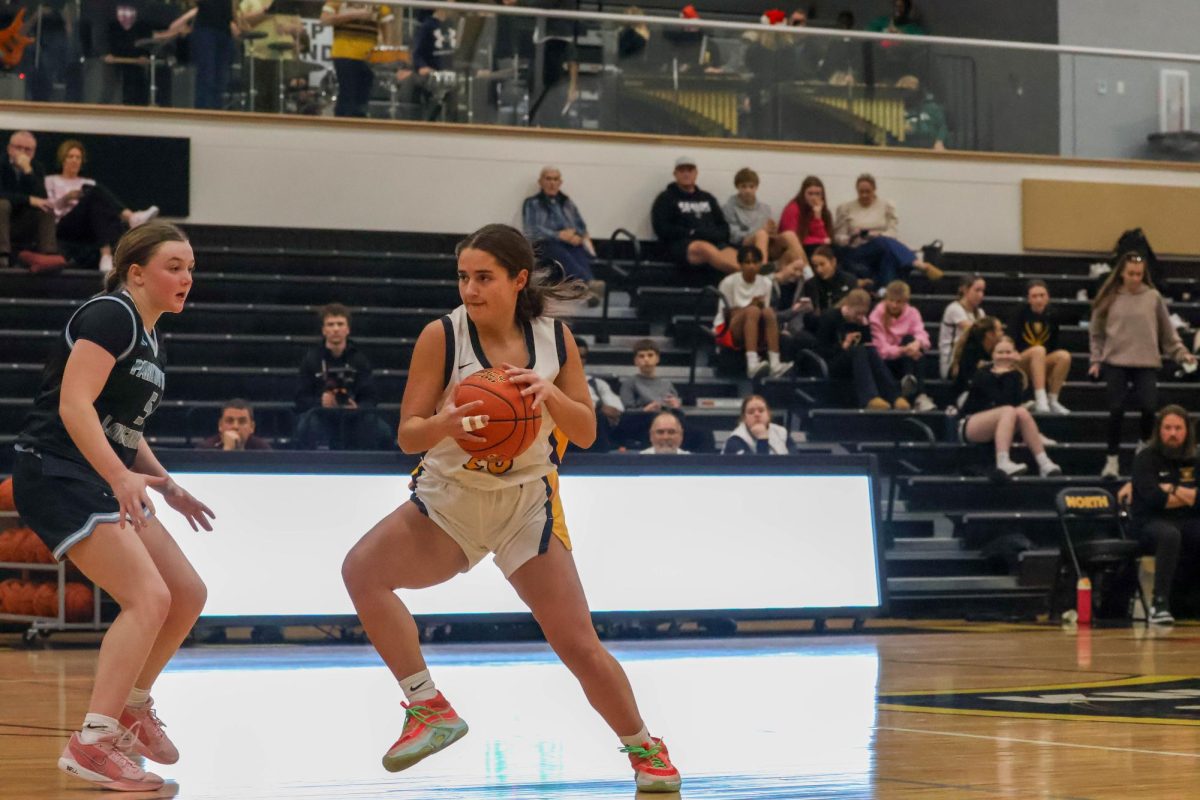 Varsity Girls Basketball Defeats Parkway North [Photo Gallery]