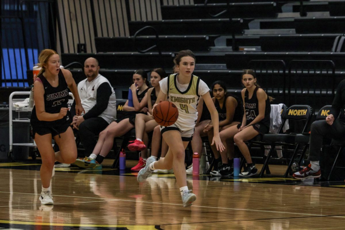 JV Girls Basketball Defeats Rockwood Summit [Photo Gallery]